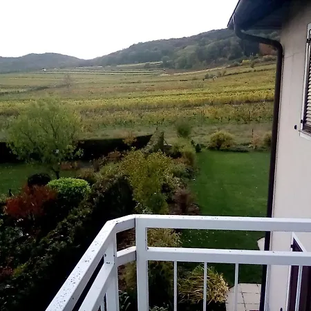 Top Over Vienna, Weinberge Ideal With Car