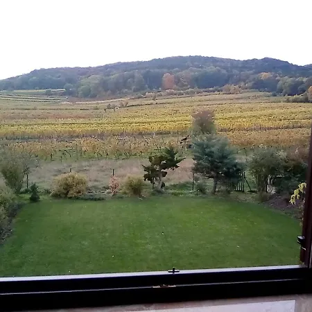 Top Over Vienna, Weinberge Ideal With Car Homestay *