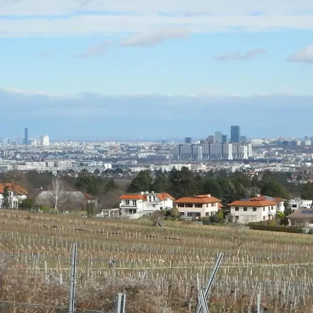 Top Over Vienna, Weinberge Ideal With Car