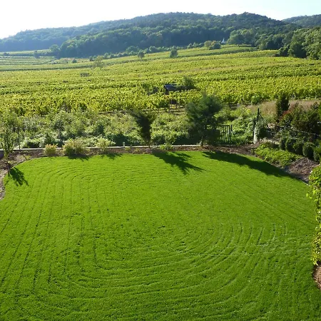 Top Over Vienna, Weinberge Ideal With Car Perchtoldsdorf