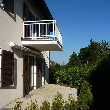 Top Over Vienna, Weinberge Ideal With Car