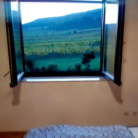 Homestay Top Over Vienna, Weinberge Ideal With Car *